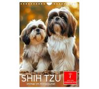 Shih Tzu - immer im Mittelpunkt (Wandkalender 2026 DIN A4 hoch), CALVENDO Monatskalender: Ein kleiner Charmeur - keck, fröhlich und anhänglich.