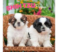 Shih Tzu Puppies 2027 12 X 24 Inch (Hanging) Monthly Square Wall Calendar Plastic-Free: Original BrownTrout-Kalender [Mehrsprachig] [Kalender]