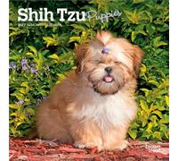Shih Tzu Puppies 2027 7 X 14 Inch (Hanging) Monthly Mini Wall Calendar