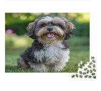 Shih Tzu Puzzle Imposible,desafío para Adultos Green Pastoral Entretenimiento Creativo 1000 Piezas Obra De Arte De Juego De para Adultos Y Niños A Partir De 12 Años 1000pcs (75x50cm)