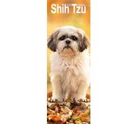 Shih Tzu Slim Calendar 2026 Dog Breed Slimline Calendar - 12 Month
