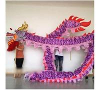 Shiketong 4M Chinese Silk Dragon Dance for Traditional Festival Performance 4 People(Purple)