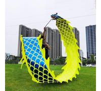 Shiketong Chinese Dragon Dance 6m 8m Outdoor Lion Dance Head Traditional Festival Prop(Yellow-Blue)