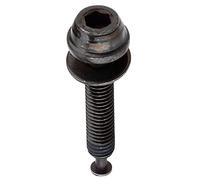 Shimano 8N208000 Tornillo de fijación, Unisex Adulto, Multicolor, 23