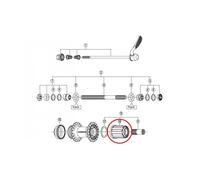 Shimano - Buje completo FH-RM66 para rueda libre de bicicleta, compatible con conversiones de rueda libre a cassette, ideal para ciclismo de carretera y montaña, pieza original de repuesto