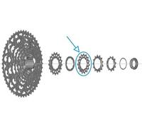 SHIMANO Ciclismo de Coronas para Unisex Adulto