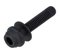 Shimano Tornillo Fij. Pinza C2 (10 mm) Componentes y repuestos para Bicicletas, Adultos Unisex, Multicolor, Talla única