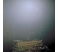 Shin Sasakubo - Venus Penguin [Vinyl LP]