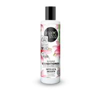 Shine Conditioner