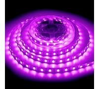 ShineBurky Tira LED 5 Metros Rosa, 12V Luces LED 300LEDs SMD5050