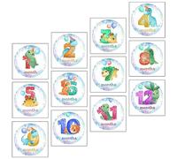 SHINEOFI 12 Piezas Pegatinas Mensuales para Recién Nacidos de Stickers de Infantiles para Fotos para Cumple Mes y Recuerdos de Crecimiento
