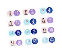 SHINEOFI 24 Piezas Pegatinas de para Bebés de Flores Set de Calcomanías para Fotografía de Meses Recuerdos Especiales y Decoración para Momentos Únicos de Crecimiento Infantil