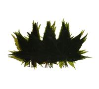 SHINEOFI Bandeja Decorativa Japonesa para Sushi y Sashimi Hojas de Arce Verde Bandeja para Servir Sashimi Fondo Decoración para Platos de Sushi Accesorio Reutilizable para Restaurante y