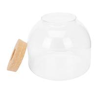 SHINEOFI Botella de Micropaisaje de Vidrio Transparente Tapón de Madera Pequeño Terrario Decorativo para Bricolaje Decoración de Hogar y Oficina Jarrón Artesanal para Plantas Set