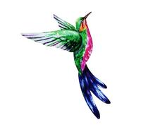 SHINEOFI Decoración de Pared Colgante de Colibrí de Hierro Escultura Artística de Metal 1 Pieza para Jardín y Dormitorio Adorno Mural Decorativo Resistente y Elegante