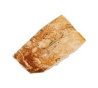 SHINEOFI Fósil de Pez Paleontológico Wolf Fish Espécimen Didáctico para Enseñanza Científica Muestra Decorativa de Criatura Marina para Coleccionistas y Educación Tamaño Medio Material