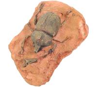 SHINEOFI Fósil Decorativo de Insecto para Colección y Enseñanza Científica, Muestra Paleontológica Pequeña y Portátil, Ornamento Didáctico para Decoración de Terrarios y Escenas Naturales