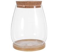 SHINEOFI Jarrón Hidropónico de Cristal Grande 2 Unidades con Tapón Perforado y Base de Bambú, Estación de Propagación de Plantas para Cultivo en Agua en Interior, Adecuado para Decoración