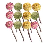 SHINEOFI Juguetes Dentición de Conejos y Loros, 12 Piezas de Palitos Masticables Formas Únicas, Material Sintético Que Promueve Salud Dental y Evita Morder Muebles