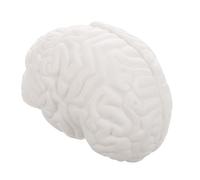 SHINEOFI Modelo de Anatomía del Cerebro Blanco con Estructura Realista y Diseño Desmontable en Pvc para Demostraciones en Aulas y Escuelas Médicas