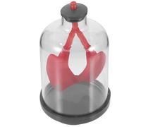 SHINEOFI Modelo de Demostración de Respiración Pulmonar Simulación de Movimiento Diafragma Herramienta Educativa para Enseñanza Científica en Aulas Material Docente Anatómico para