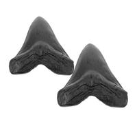 SHINEOFI Réplicas de Dientes de Megalodón de Resina 2 Piezas, Modelo Paleontológico para Decoración de Mesa y Colección Educativa, Decoración de Hogar Temática Prehistórica