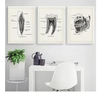 SHINERING Póster De Diente De Anatomía Dental Abstracto Vintage, Ilustración, Póster Educativo, Pintura En Lienzo, Imágenes De Pared, Decoración De La Clínica Del Hogar 50Cmx70Cmx3Pcs Sin Marco