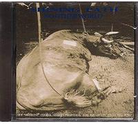 Shining Path - No Other World