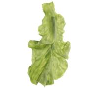 SHINYPASING Pinza Cabello de Mujer y Niña, Clip Diseño de Hoja de Lechuga Verde, Accesorio Estético y Divertido para Peinados, Pinzas Pelo de Moda, Clip Decorativo Resistente