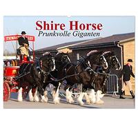 Shire Horse ¿ Prunkvolle Giganten (Wandkalender 2026 DIN A2 quer), CALVENDO Monatskalender: Die größten Pferde der Welt im Prunkgeschirr!