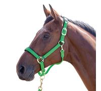 Shires - Cabezada de Caballos Nylon Topaz