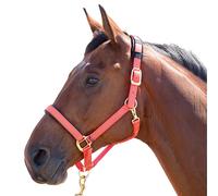 Shires Cabezada de Caballos Nylon Topaz (ER239) UTER239_55