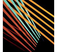 Shit Robot - What Follows [Vinilo]