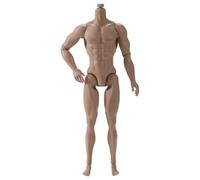 SHITOOMFE Figura de acción Cuerpo, 1/6 Figura de acción de Escala, 6 Cuerpo Muscular móvil móvil múltiple para la recolección de exhibición, marrón Claro