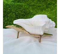 Shiva Lingam Shop Vástago soplador, vástago blanco natural de 6 pulgadas, vástago blanco para Pooja con hermoso soporte de latón dorado de 7.5 pulgadas, energía positiva para relajación y positivos