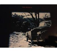 Shivers, the - The Shivers