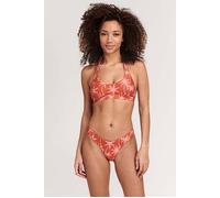 Shiwi Ladies Joan Bikini Set Vacation Palm Spice Route Brown Talla: 34 | Bikinis Outlet | Mujer | Marrón