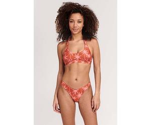 Shiwi Ladies Joan Bikini Set Vacation Palm Spice Route Brown Talla: 34 | Bikinis Outlet | Mujer | Marrón