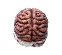 shjxi Brain Beanie Party Hat, 3d Horror Costume Accessory, Soft Stretch Knit Cap, Realistic Brain Design for Halloween, Comedy, Festival, Birthday, Stage Props, 21.65-22.44 pulgadas