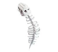 shjxi Dinosaur Costume, Plush Skeleton Halloween Outfit, Soft Cosplay Dress-Up with Accessories, for Men, Women, Kids, for Birthday Parties, Carnivals, Holiday Events More