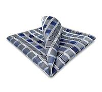 Shlax & Wing Herren Seide Einstecktücher a cuadrosojo Azul Gris Einstecktücher 32cm