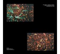 Shlohmo - Bad Vibes - 5th Anniversary Edition [Vinilo]