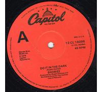 Shobizz - Do It In The Dark / We Are A Music Machine