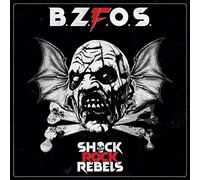 Shock Rock Rebels [Vinilo]