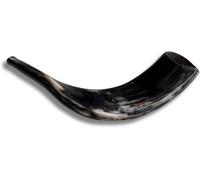 Shofar auténtico y kosher pulido de cuerno de carnero de Israel (35,56 cm - 40,6 cm)