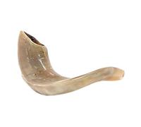 Shofar Kosher RAM cuerno 8 - 9 "hecho a mano en Israel. Ideal para Rosh Hashana Yom Kippur yamim noraim Bar y Bat Mitzvah boda vacaciones shabat judío casa calentamiento aniversario regalo judío