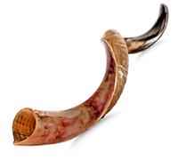 Shofar kudu kosher israelí hecho a mano, cuerno musical y bolsa de shofar, regalos judíos decorativos y funcionales para mujeres y hombres por Santa Voice, medio pulido. (24-28 pulgadas)