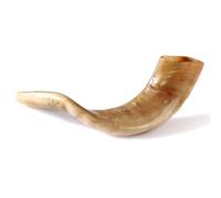 Shofar tradicional de Israel, instrumento musical natural judío, shofar de cuerno auténtico de sonido claro, hermoso shofar de cuerno de carnero pulido (12-14 pulgadas)