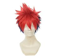 Shokugeki No Soma Yukihira Souma Cosplay peluca para hombres niños 30Cm corto recto resistente al calor pelo sintético azul rojo mezclado Yukihira Souma