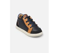 Shoo Pom Bouba Zip Box 25 Azul
